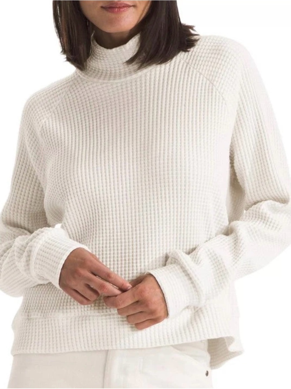 NWT the north face ivory mock neck chabot thermal sweater - M